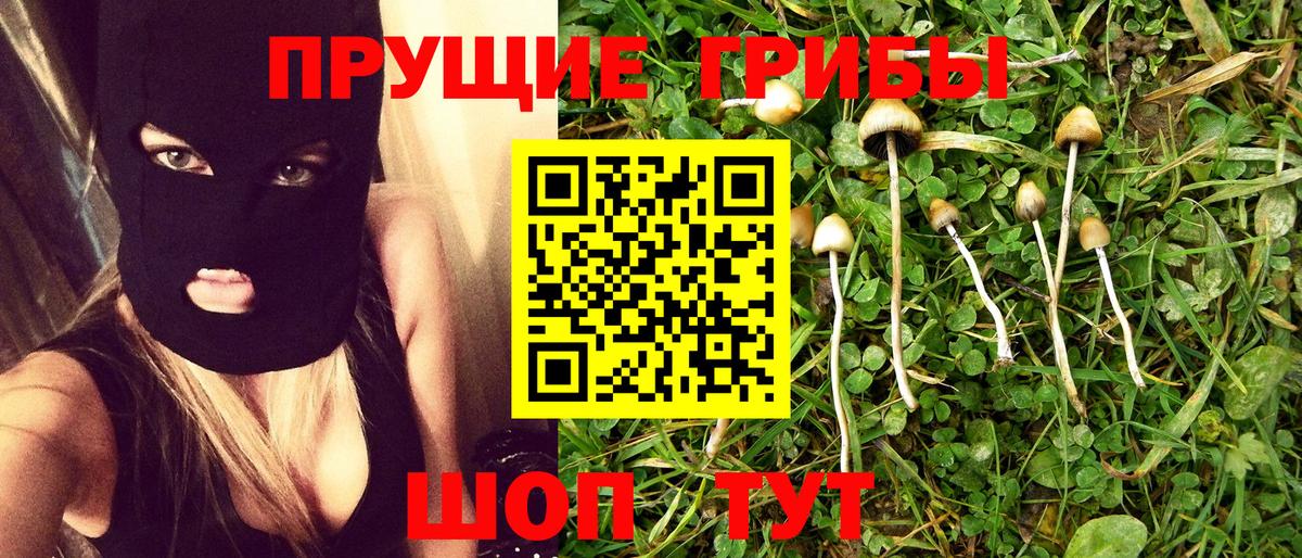 Галлюциногенные грибы Cubensis Вязьма