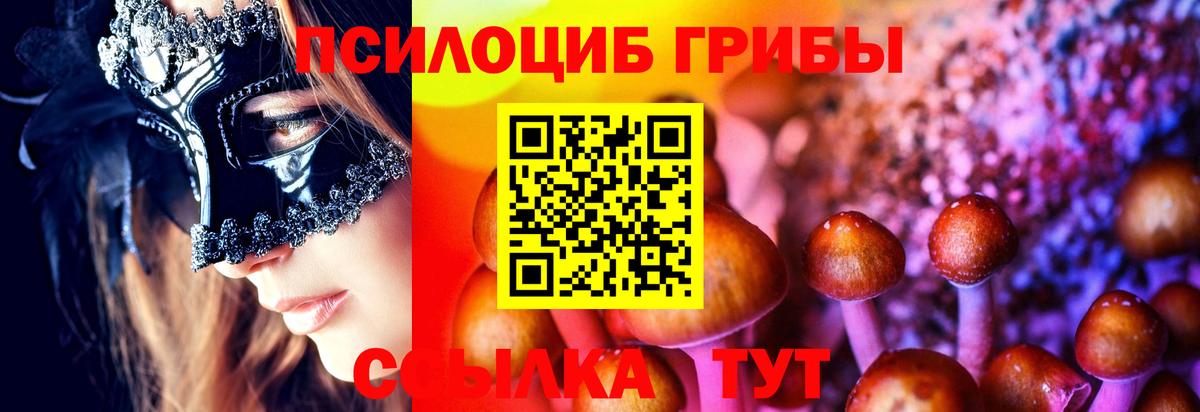 Псилоцибиновые грибы GOLDEN TEACHER  Вход с VPN  купить наркотики цена  Псилоцибиновые грибы Magic Shrooms  Вязьма 